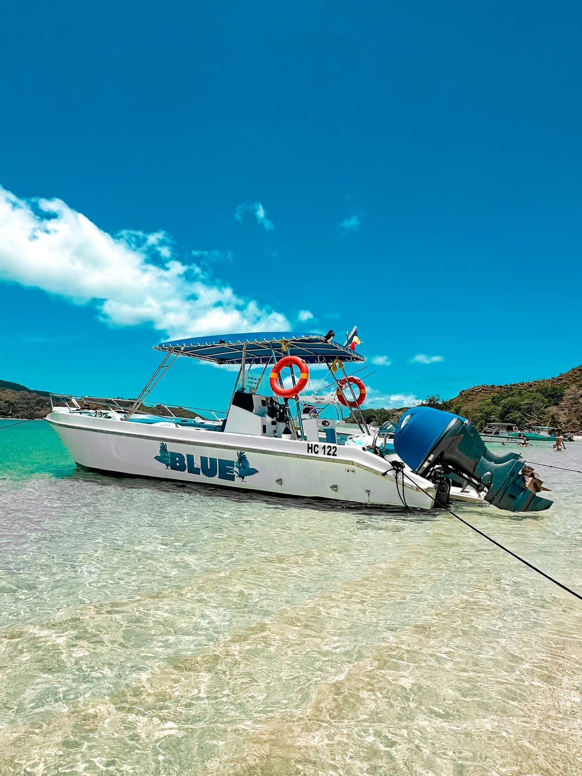 Blue, the Rio Charters boat — white, with a blue canopy and its name on the hull — moored in clear shallow water off a beach