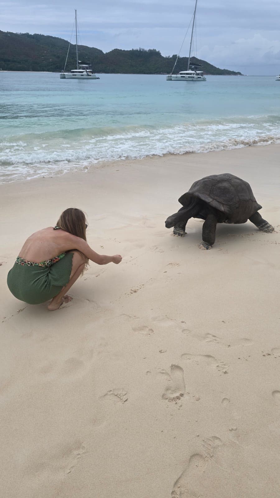 A guest crouching to meet a giant tortoise on the sand